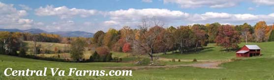 Charlottesville Virginia farm real estate: Farms for sale in the Central Virginia area