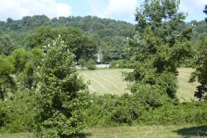 Charlottesville Farms for Sale Virginia Farms for Sale