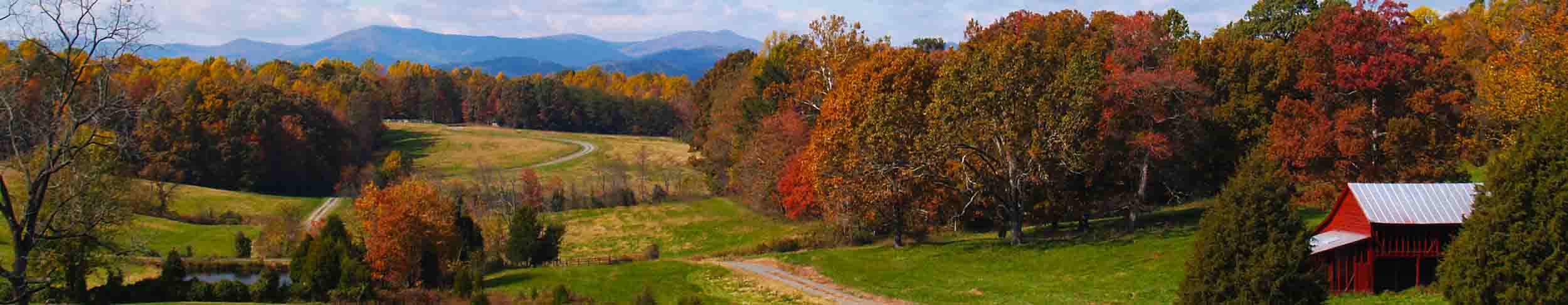 Virginia Farms for Sale