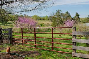 Madison County Va Sustainable Farm near Charlottesville for Sale