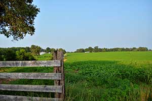 Virginia Crop Farm for Sale