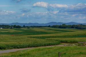 Farms in Charlottesville Virginia for Sale 