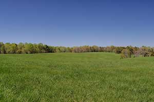 Virginia Farmland for Sale in Louisa County
