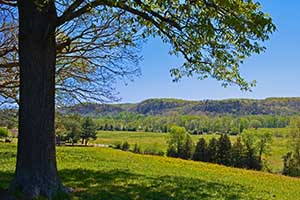 Nelson County Virginia Farms for Sale