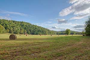 Madison County Va Farm for Sale