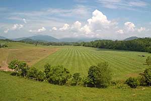 Virginia Farm for Sale 