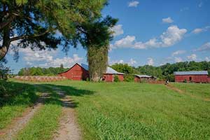 Orange County Virginia Farm for Sale