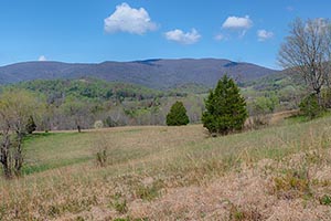 Charlottesville Virginia farm for Sale