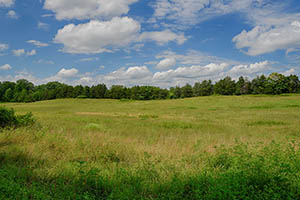 Farm land for Sale near Charlottesville Virginia