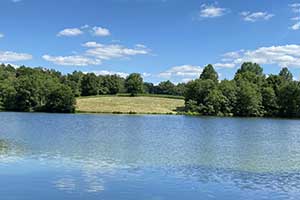 Crop farm for sale in Virginia