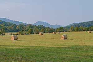 Nelson County Virginia Farm for Sale