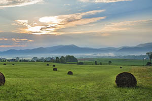 Augusta County Va Farm 