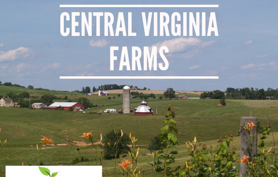 Central VA Farms – Real Estate Market Update – Dec. 2018