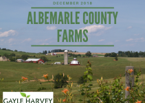 Albemarle Farms - Real Estate Market Update - Dec. 2018