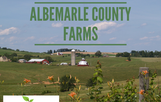 Albemarle Farms - Real Estate Market Update - Dec. 2018