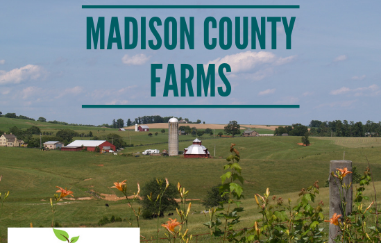 Madison Farms - Real Estate Market Update - Dec. 2018