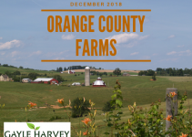 Orange Farms - Real Estate Market Update - Dec. 2018