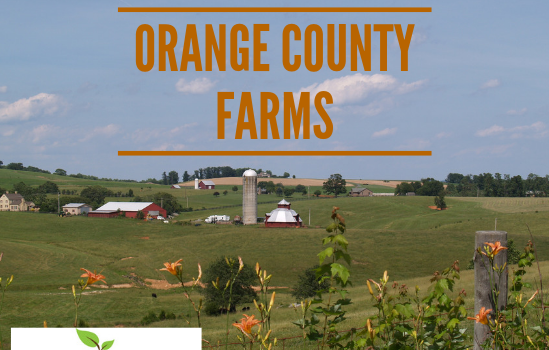 Orange Farms - Real Estate Market Update - Dec. 2018