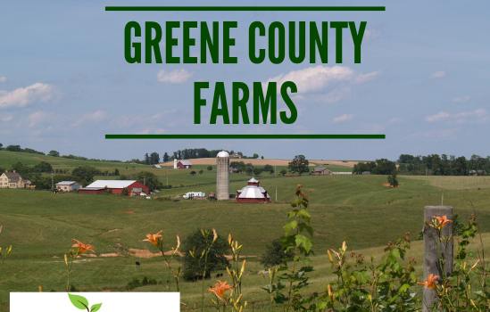 Greene Farms - Real Estate Market Update - Dec. 2018