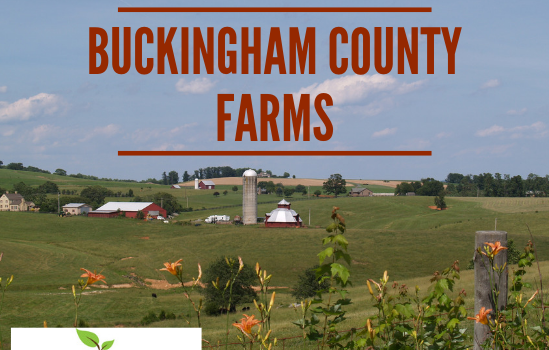 Buckingham Farms - Real Estate Market Update - Dec. 2018