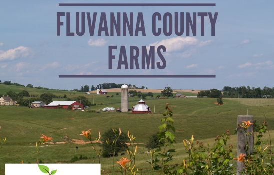 Fluvanna Farms - Real Estate Market Update - Dec. 2018