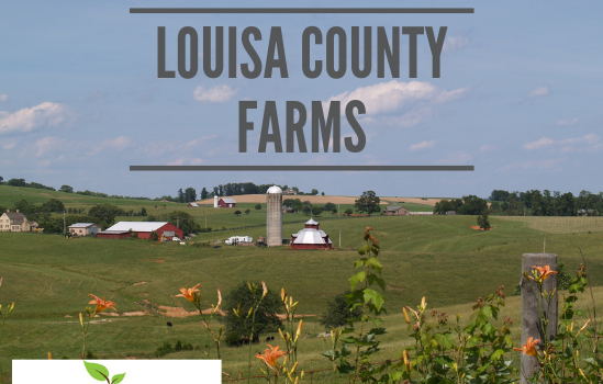 Louisa Farms - Real Estate Market Update - Dec. 2018