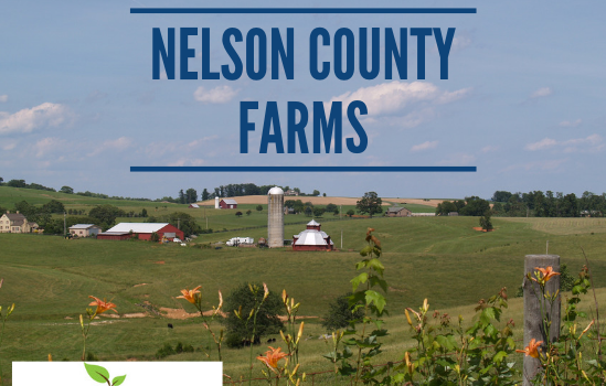 Nelson Farms - Real Estate Market Update - Dec. 2018