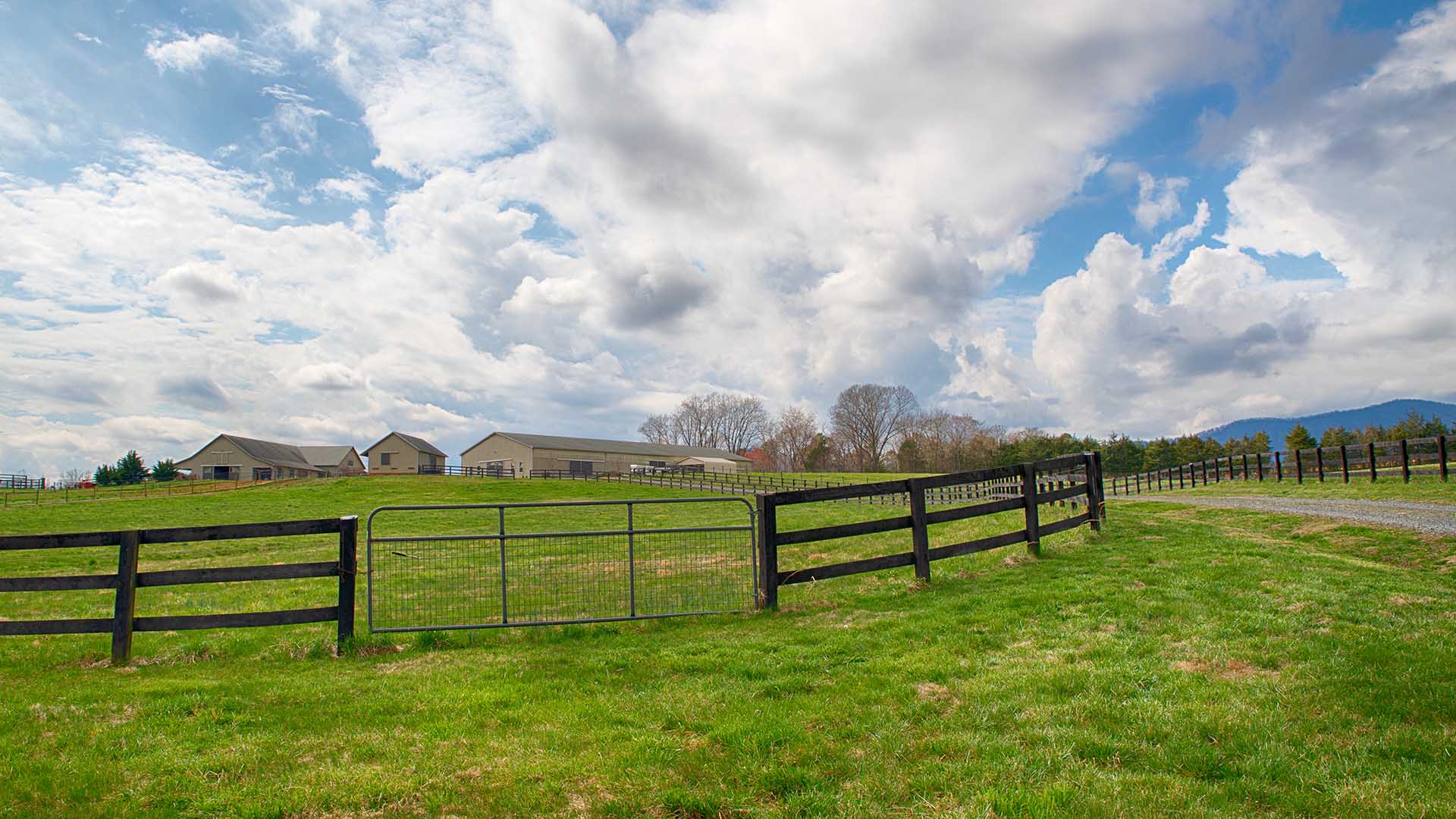 Virginia Horse Farm for Sale