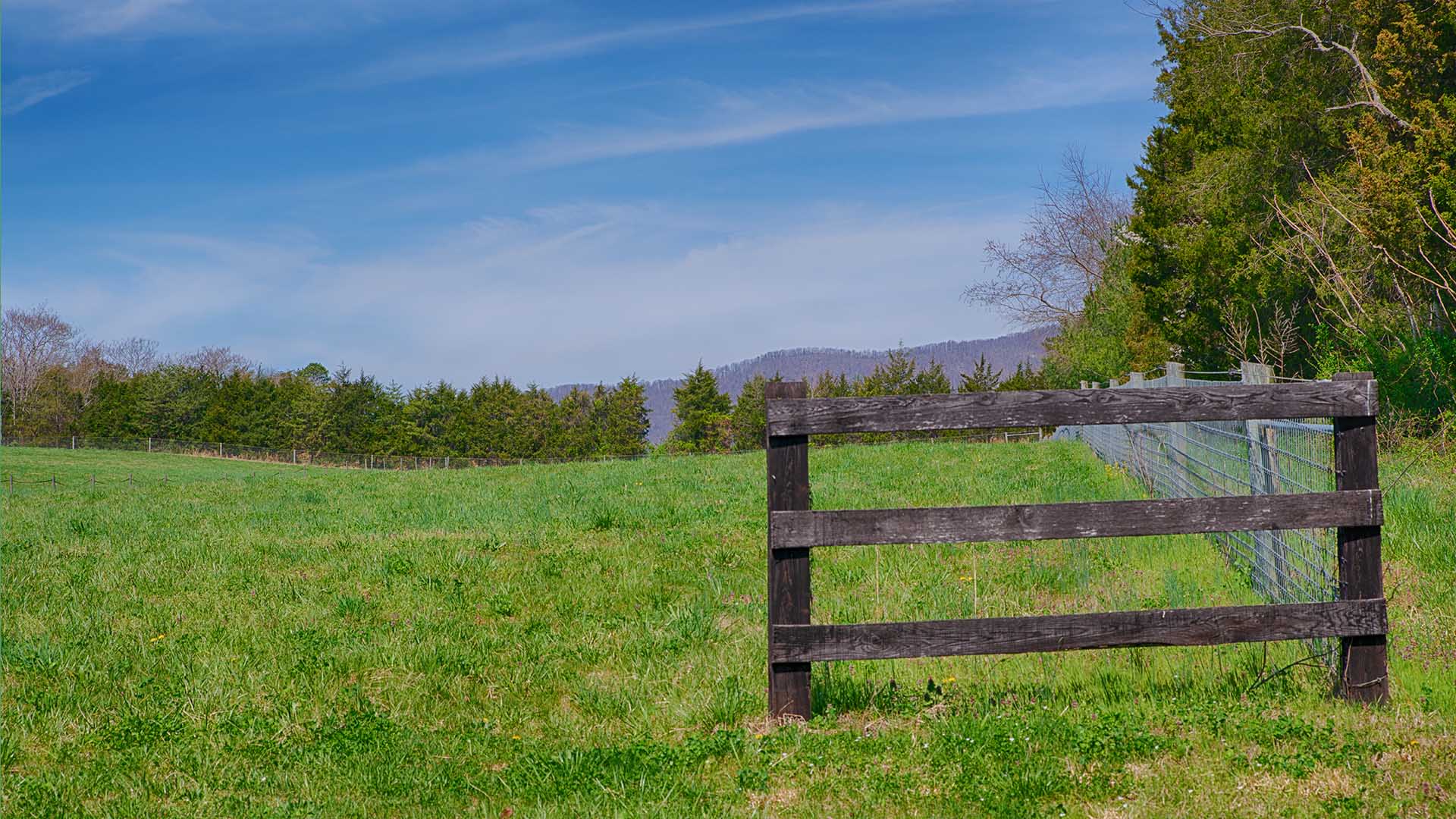 Horse Farm for Sale in Virginia