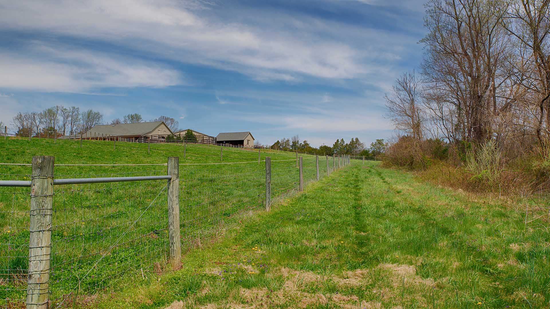 Virginia Horse Farm for Sale