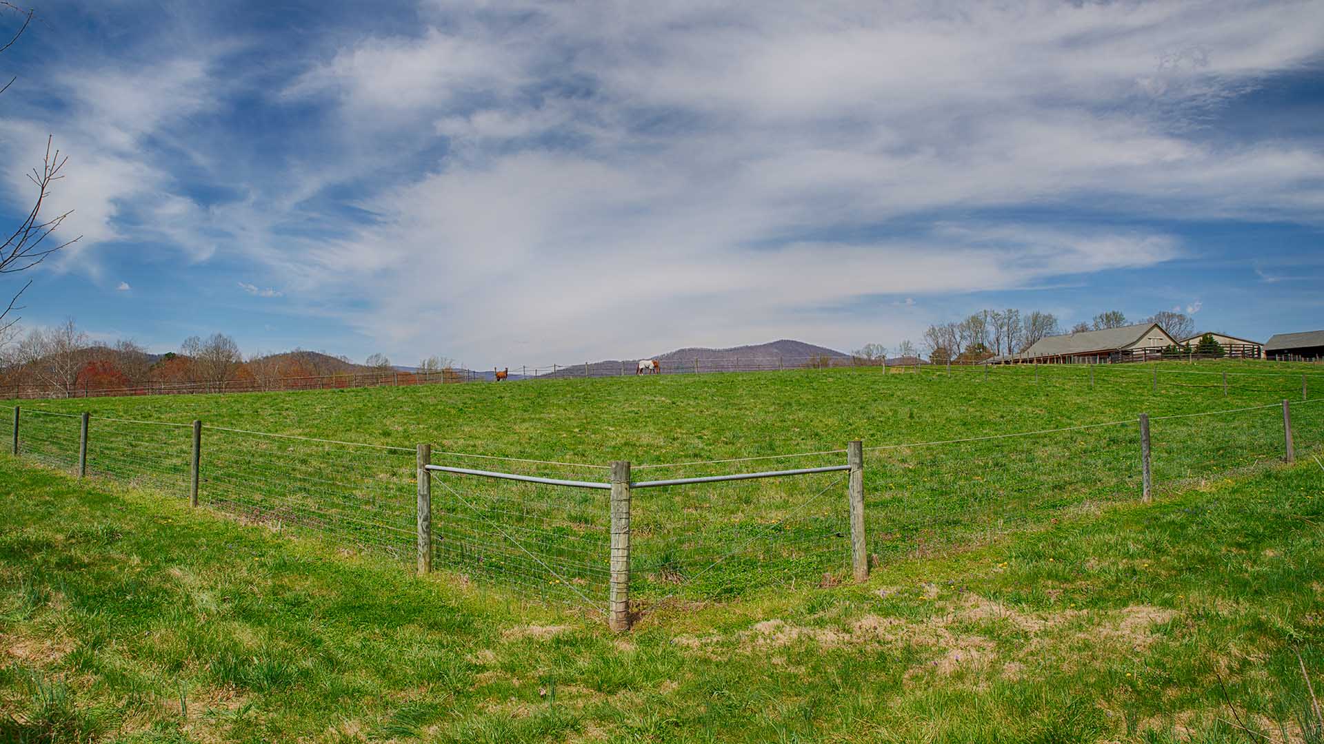 Madison VA Horse Farm for Sale