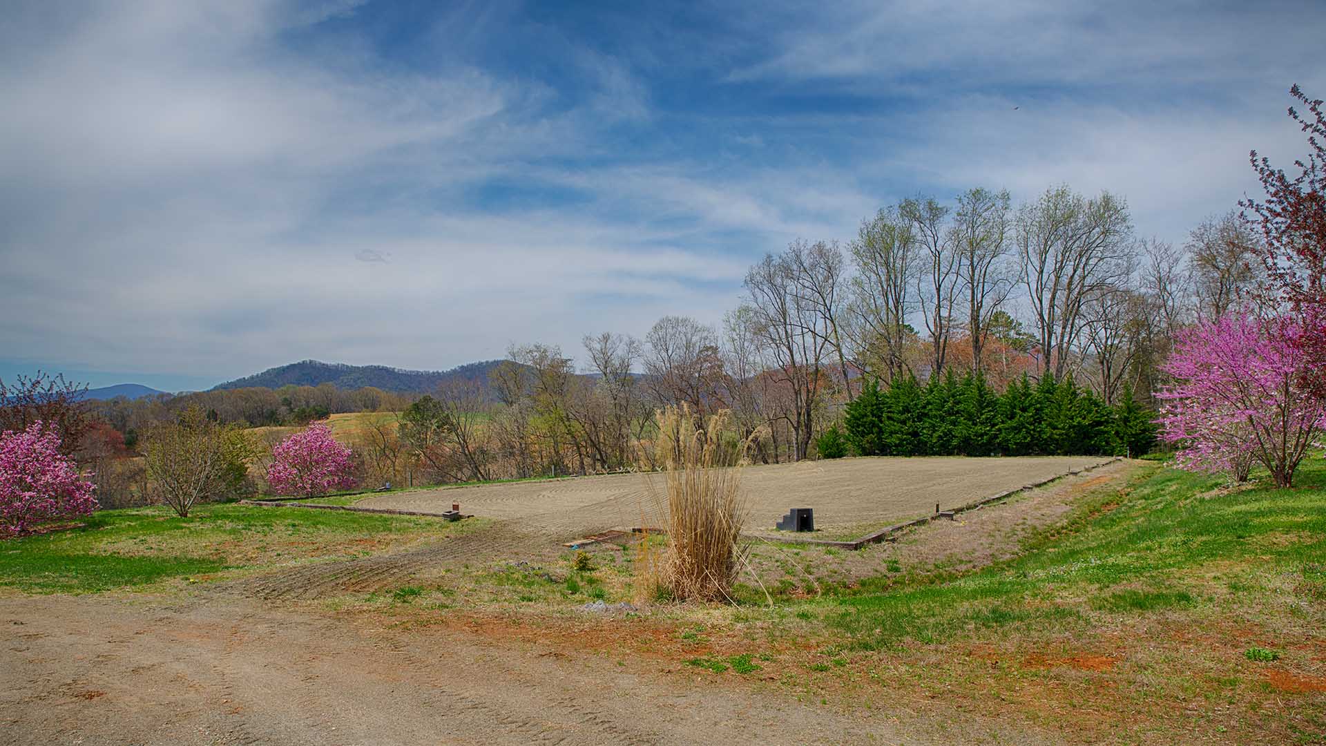 Madison Horse Farm for Sale