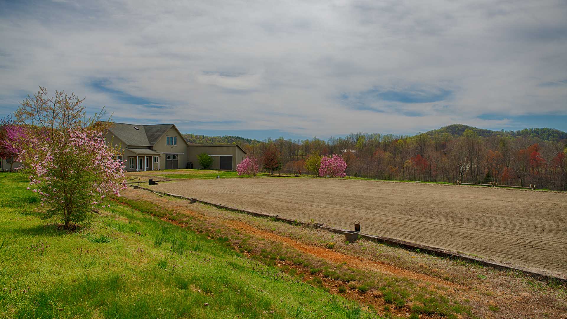 Horse Farm for Sale in Madison VA