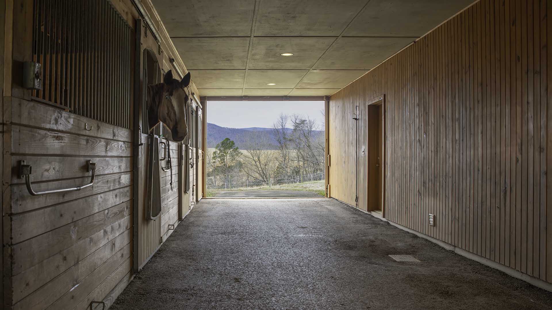 Madison Virginia Horse Farm for Sale