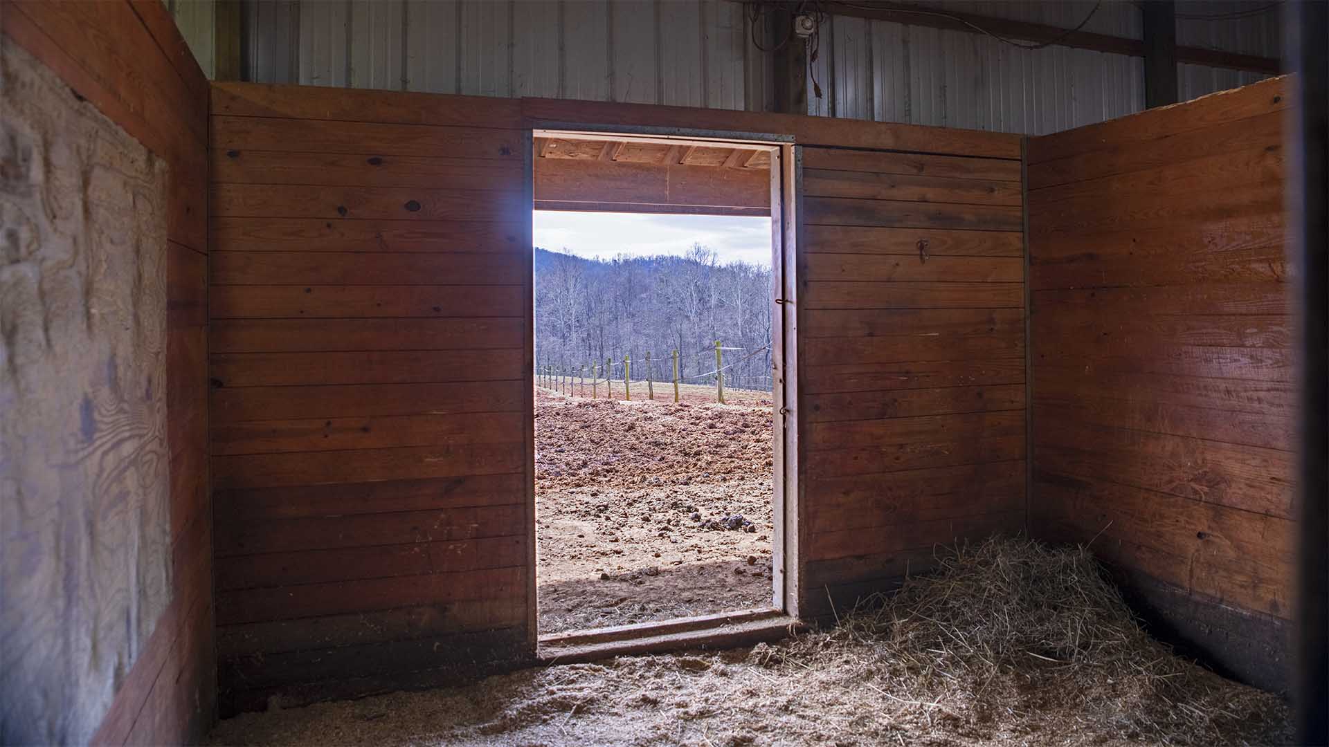 Horse Farm for Sale in Virginia