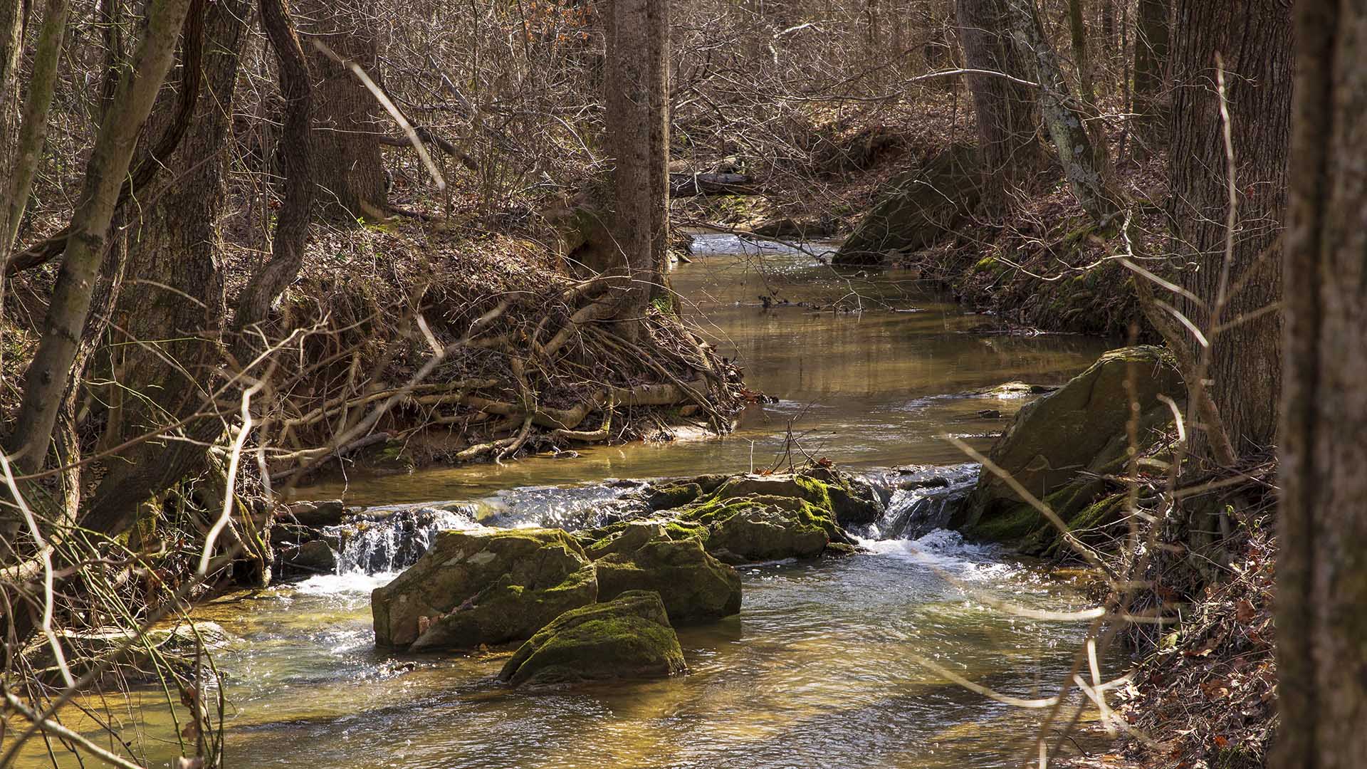 VA Horse Farm for Sale